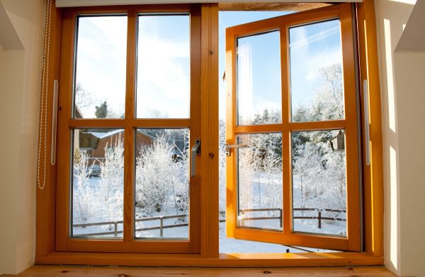 Double Window Replacement in Petaluma