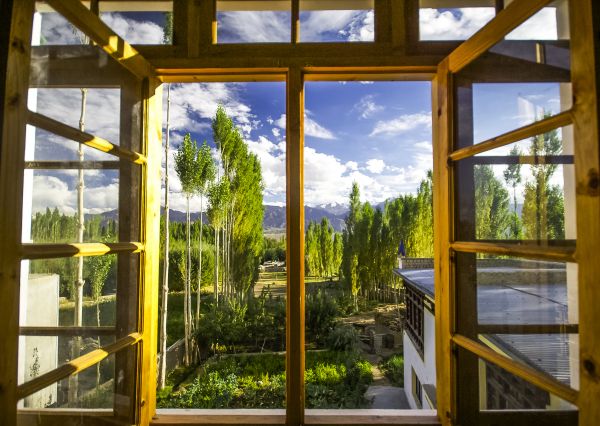 Wood Window Replacement in Petaluma