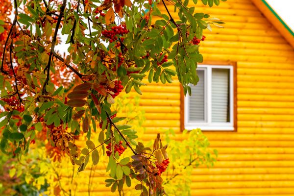 Garden Window Replacement in Petaluma